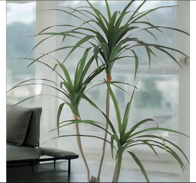 光触媒 人工観葉植物 ウォールグリーン フェイクグリーン 東北