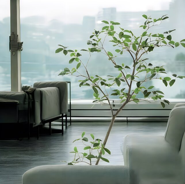 光触媒 人工観葉植物 ウォールグリーン フェイクグリーン ガジュマル