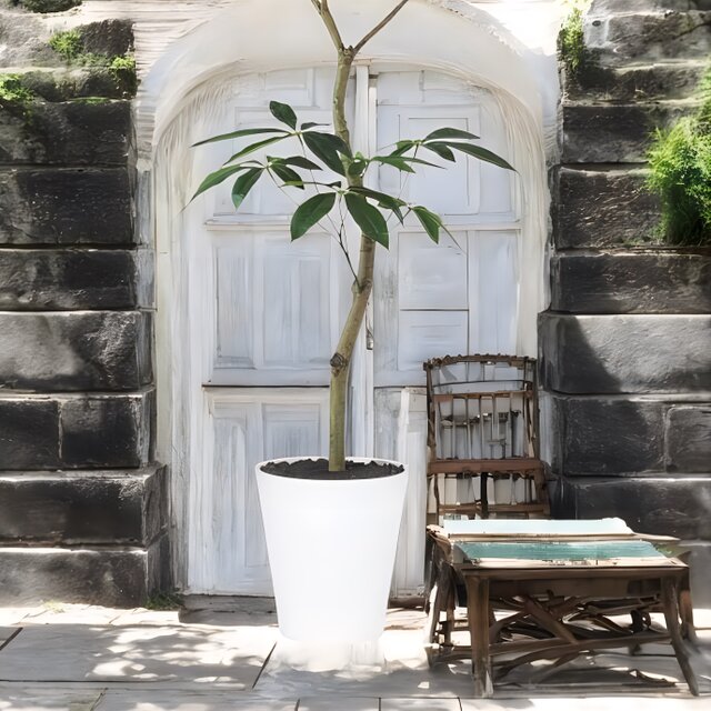 光触媒　人工観葉植物　ウォールグリーン　フェイクグリーン　パキラ150FST 光触媒 人工観葉植物 ウォールグリーン フェイクグリーン パキラ