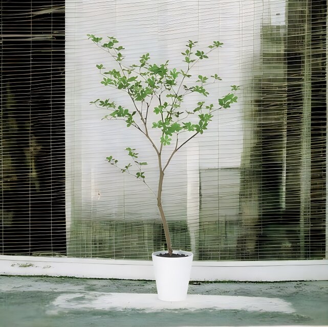 光触媒　人工観葉植物　フェイクグリーン　ドウダンツツジ130FST 光触媒 人工観葉植物 フェイクグリーン ドウダンツツジ130FST 【楽天