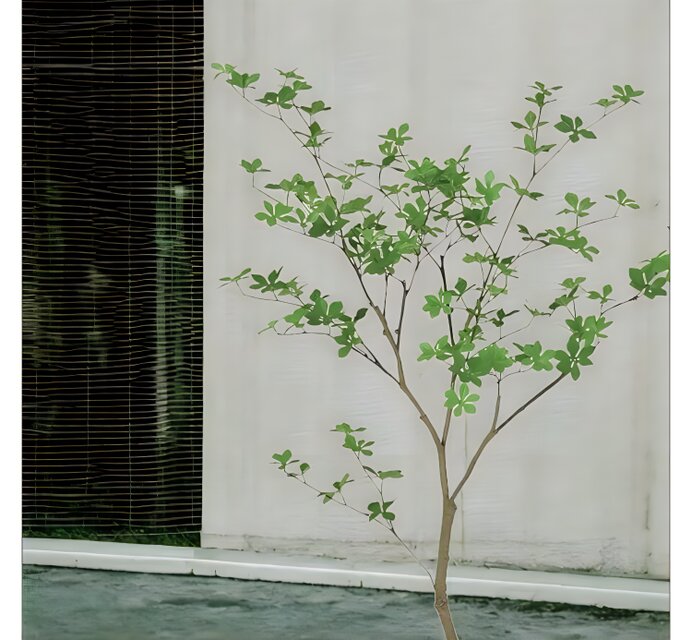 光触媒 人工観葉植物 ウォールグリーン フェイクグリーン