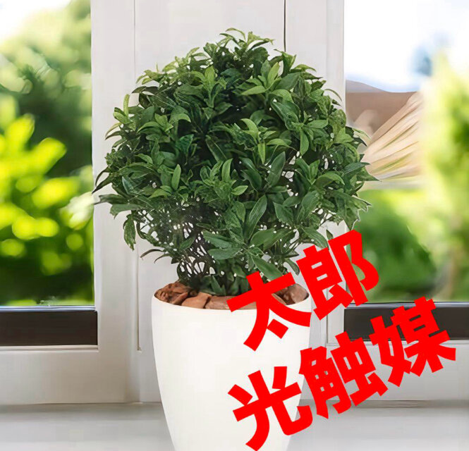 光触媒　人工観葉植物　ウォールグリーン　フェイクグリーン　ベイリーフ