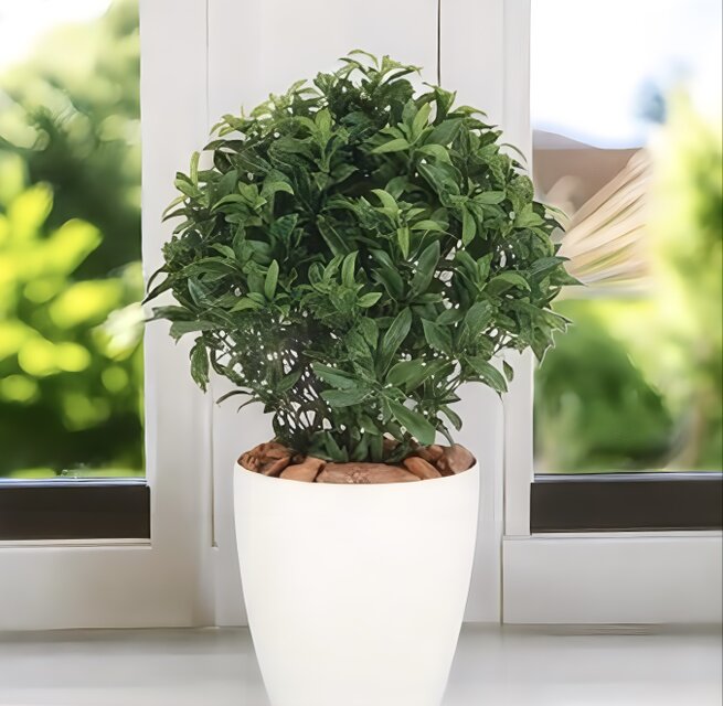 光触媒　人工観葉植物　ウォールグリーン　フェイクグリーン　ベイリーフ 光触媒 人工観葉植物 ウォールグリーン フェイクグリーン ベイリーフ