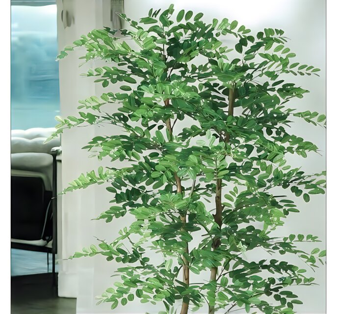 光触媒　人工観葉植物　フェイクグリーン　アカシアディアル150FST 光触媒 人工観葉植物 フェイクグリーン アカシアディアル150FST 【公式