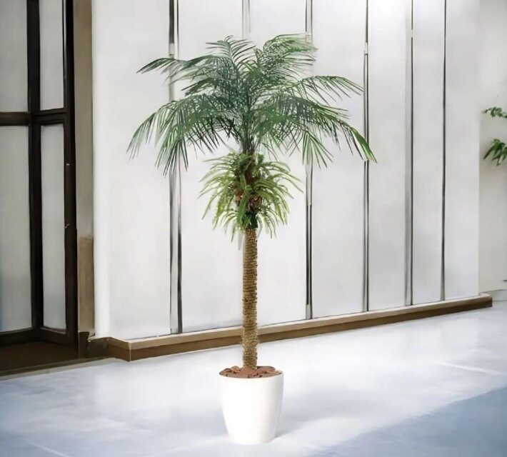 光触媒 人工観葉植物 フェイクグリーン フェニックス・ロベレニー PLUS