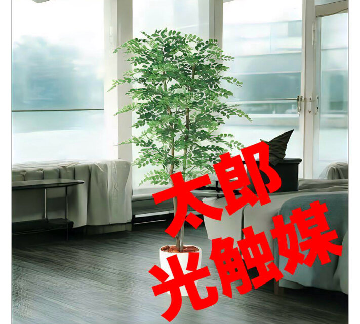 光触媒　人工観葉植物　フェイクグリーン　フェニックス・ロベレニー PLUS 光触媒 人工観葉植物 フェイクグリーン フェニックス