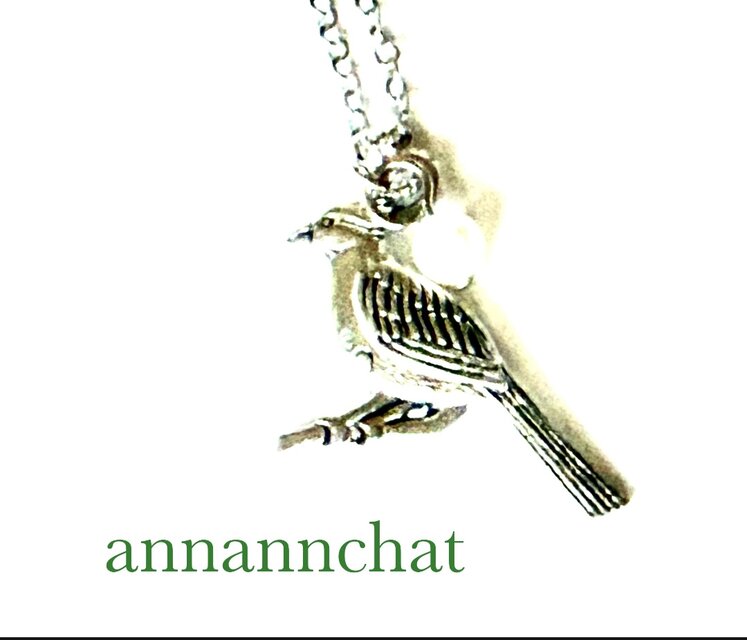 【アメリカ製　cardinal 　カーディナル　野鳥　ネックレス】シルバーカラー