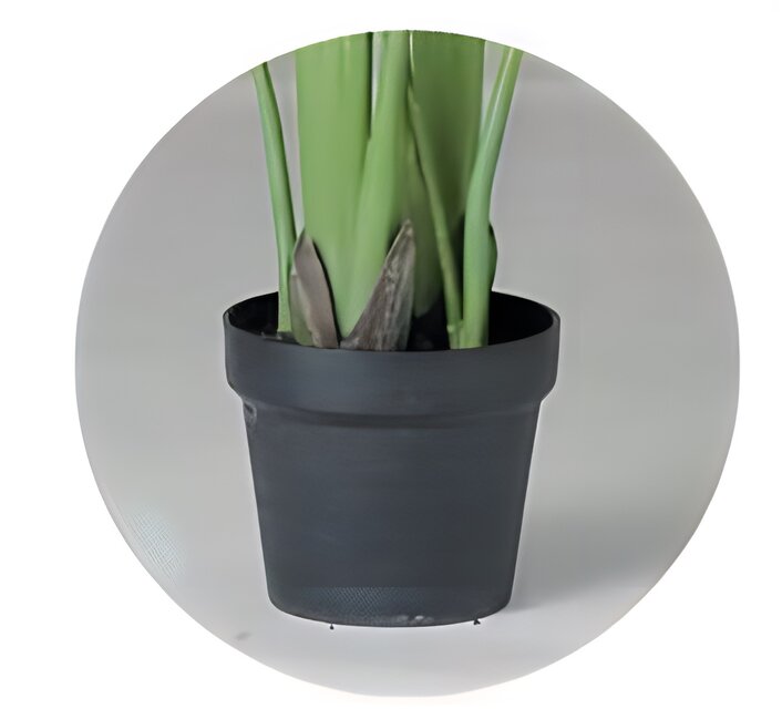 光触媒 人工観葉植物 ウォールグリーン フェイクグリーン オーガスタ