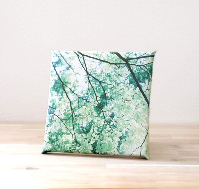 ネイチャーフォトキャンバスパネル / 緑の涼風