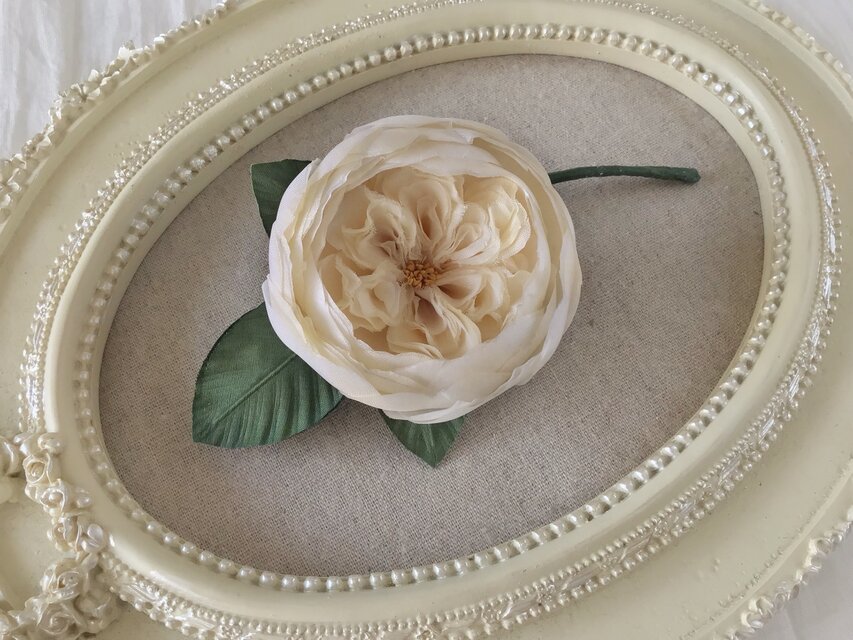 〈染め花〉イングリッシュローズのコサージュ（中輪カップ咲・クリームホワイト)