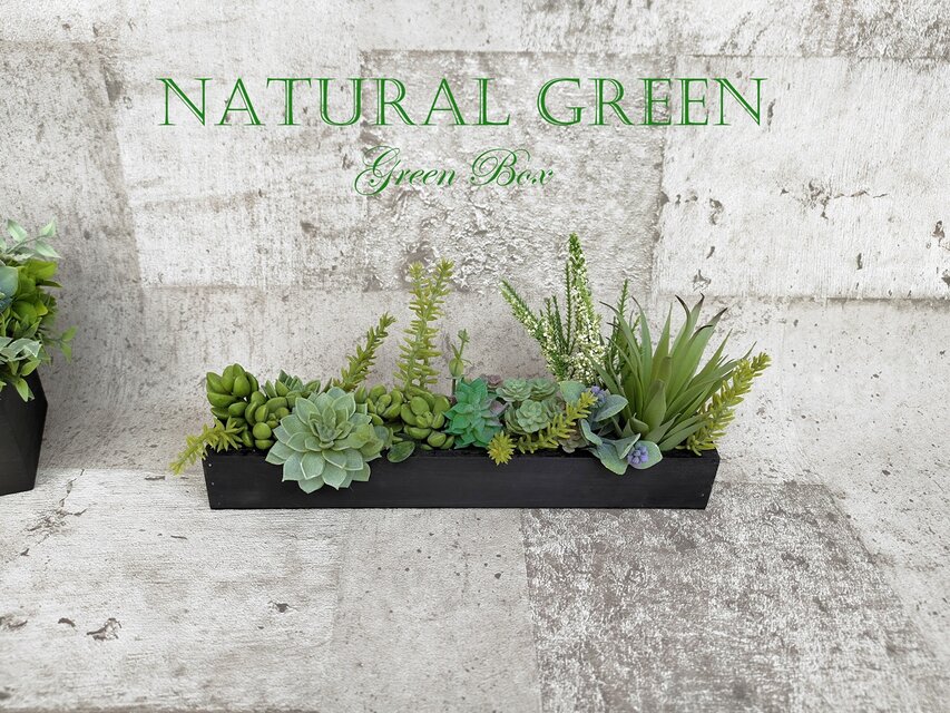 多肉植物のMyガーデン　フェイクグリーン　光触媒加工済　空気を綺麗にしてくれます