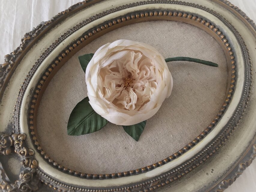 〈染め花〉イングリッシュローズのコサージュ（中輪カップ咲・アンティークホワイト)