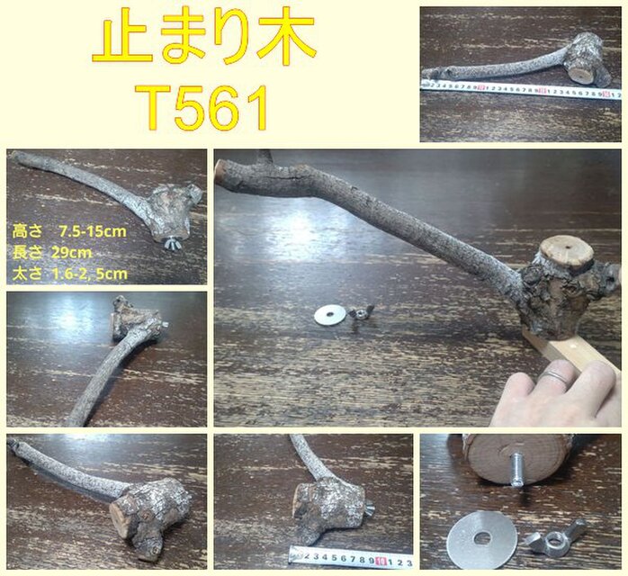 止まり木（枝：TOY-23-004) 　T561