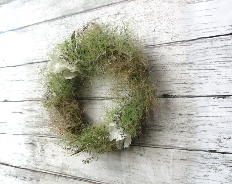 Summer sale スモークツリーと白い花