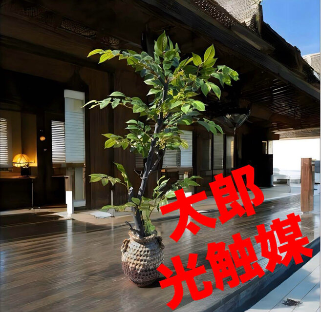 光触媒 人工観葉植物 ウォールグリーン フェイクグリーン