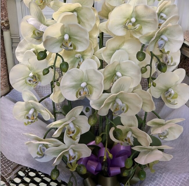 光触媒 人工観葉植物 ウォールグリーン フェイクグリーン リアル胡蝶蘭