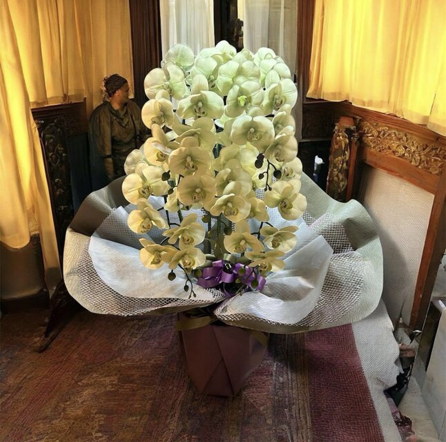 光触媒 人工観葉植物 ウォールグリーン フェイクグリーン リアル胡蝶蘭