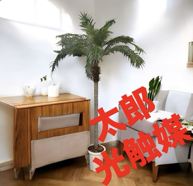 光触媒　人工観葉植物　ウォールグリーン　フェイクグリーン　フェニックス210dj