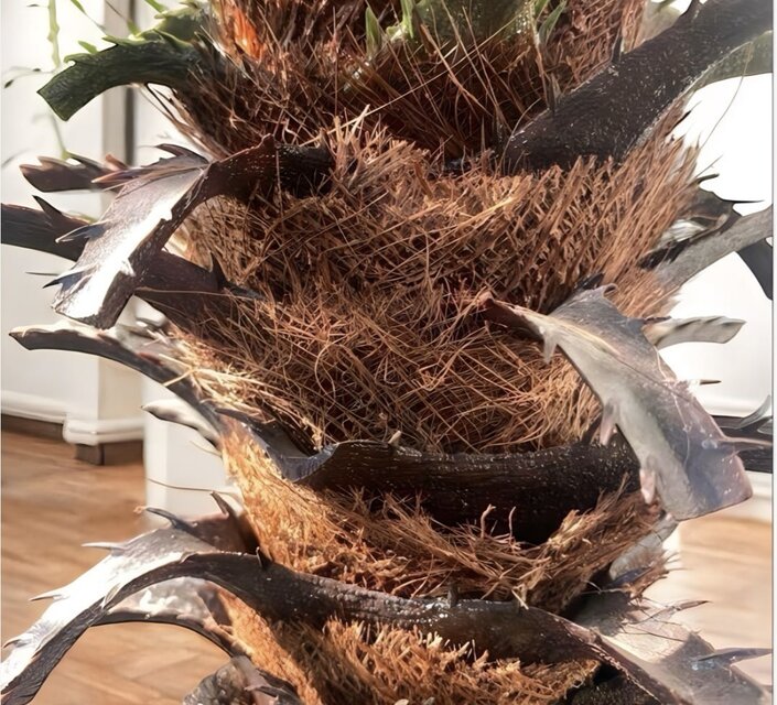 光触媒 人工観葉植物 ウォールグリーン フェイクグリーン フェニックス 