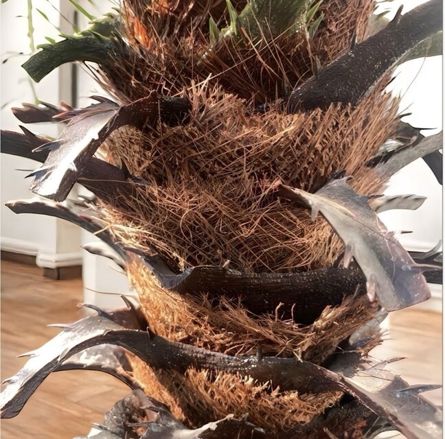 光触媒 人工観葉植物 ウォールグリーン フェイクグリーン フェニックス
