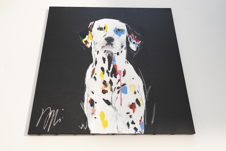 Dalmatian / ダルメシアン