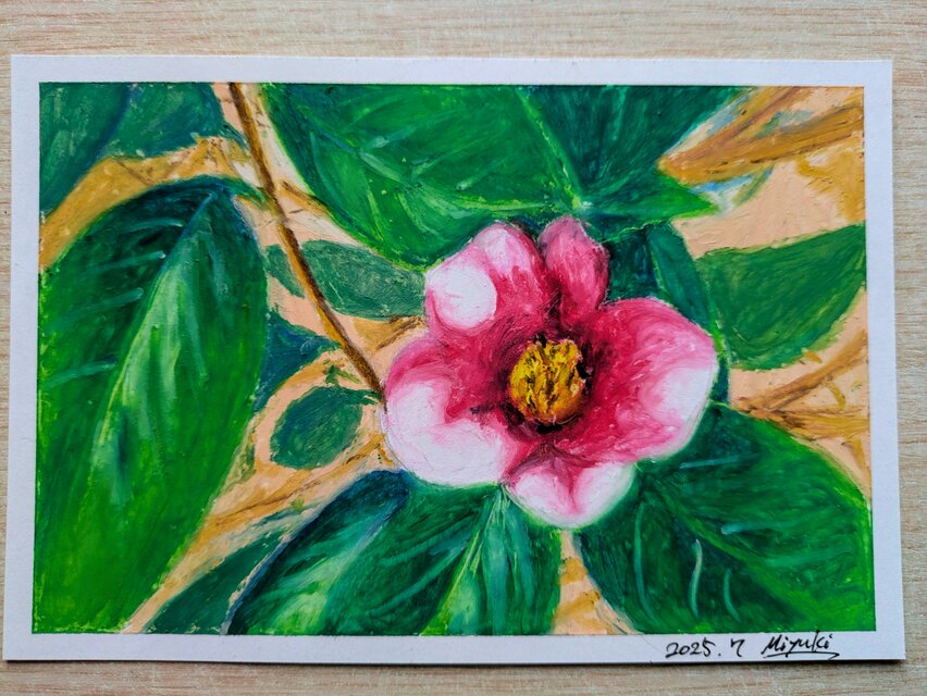 椿のクレヨン画(胡蝶侘助②)