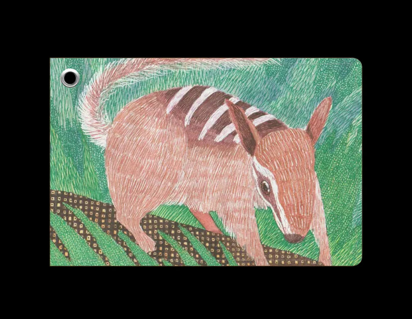 森の足あと｜フクロアリクイ・チュナ｜パスケース