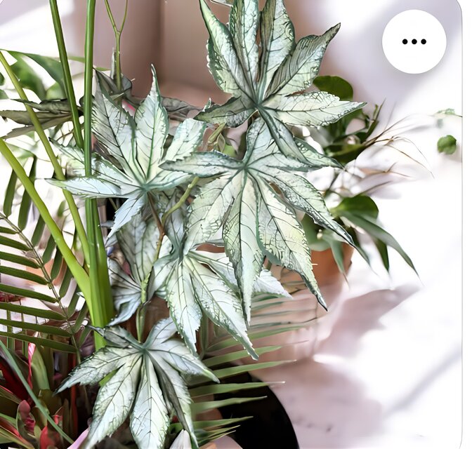 光触媒　人工観葉植物　ウォールグリーン　フェイクグリーン　セロームアレンジ87 光触媒 人工観葉植物 ウォールグリーン フェイクグリーン