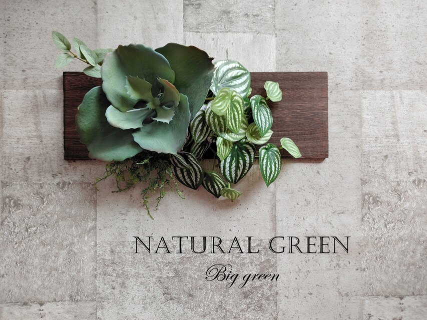 大自然を感じる　大き～い多肉植物で大迫力のインテリア　フェイクグリーン　光触媒加工済