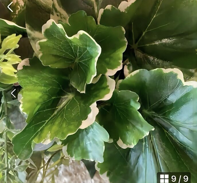 光触媒 人工観葉植物 ウォールグリーン フェイクグリーン 壁掛け 5056