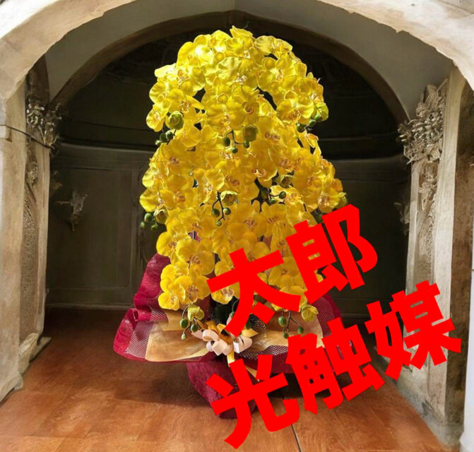 光触媒　人工観葉植物　ウォールグリーン　フェイクグリーン　胡蝶蘭黄色112