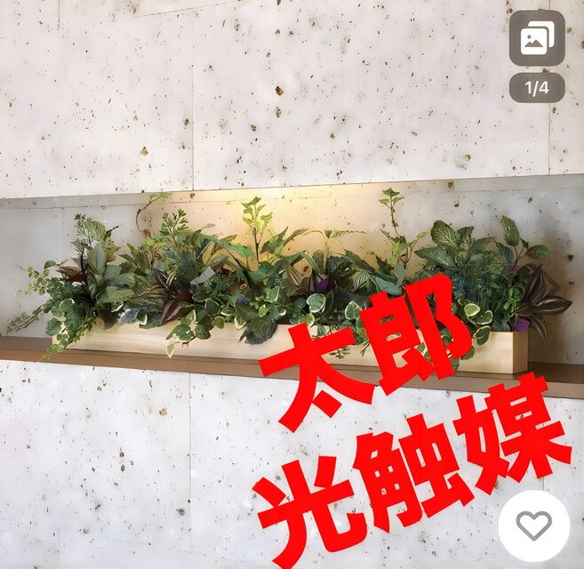 光触媒　人工観葉植物　ウォールグリーン　フェイクグリーン　パリスクイーン 光触媒 人工観葉植物 ウォールグリーン フェイクグリーン 壁掛け