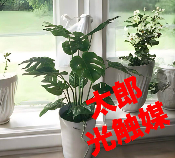 光触媒　人工観葉植物　ウォールグリーン　フェイクグリーン　pモンステラ白