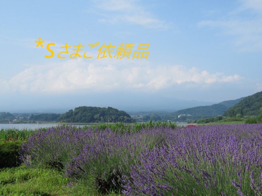 ＊sさまご依頼品