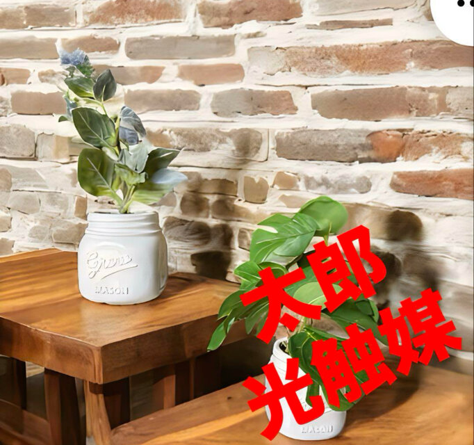 光触媒　人工観葉植物　ウォールグリーン　フェイクグリーン　モンステラとペリー