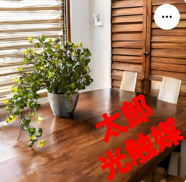 光触媒　人工観葉植物　ウォールグリーン　フェイクグリーン　ベンジャミンバロックＫ