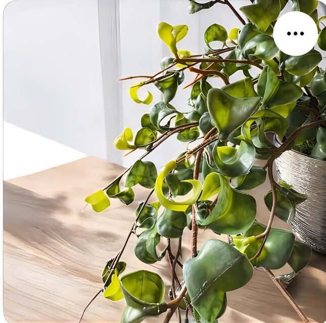 光触媒 人工観葉植物 ウォールグリーン フェイクグリーン ベンジャミン