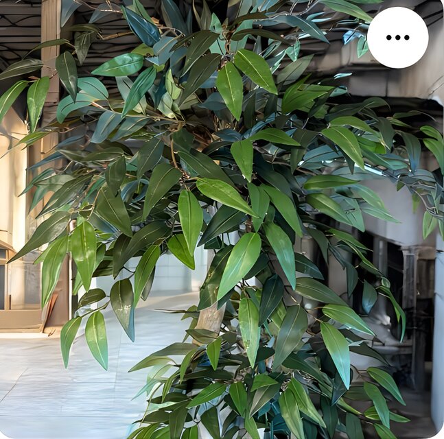 光触媒 人工観葉植物 ウォールグリーン フェイクグリーン イタリアン 