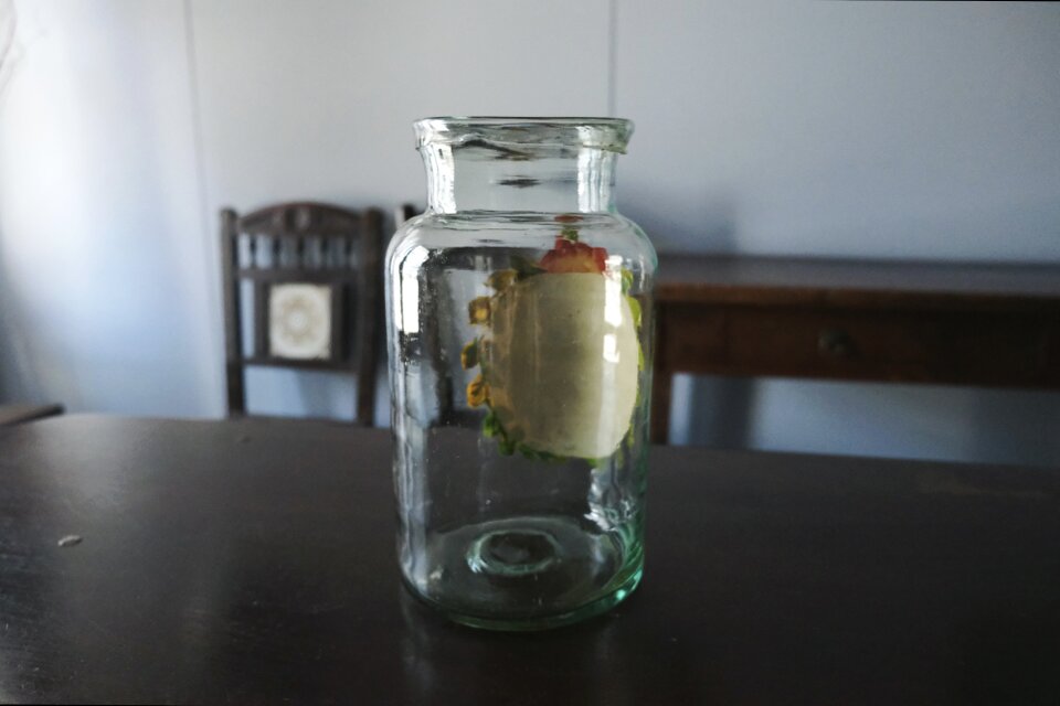 ファーマシー ポット ガラス 花器 花瓶 h25.8cm フランス アンティーク