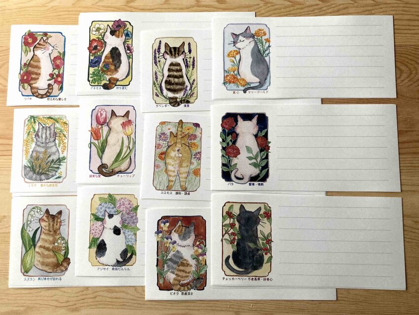 一筆便箋（横書き用）猫と花と花言葉