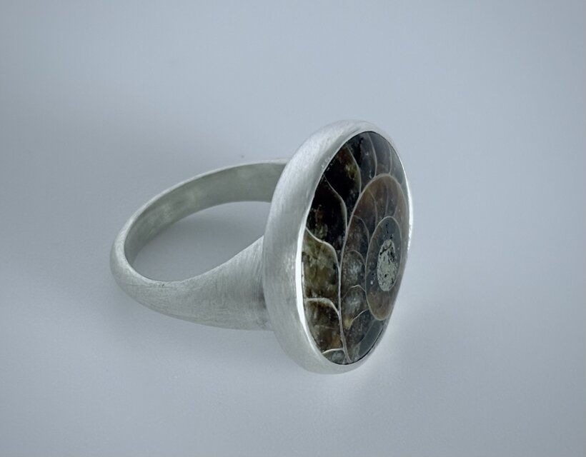 アンモナイトフォッシル　リング
