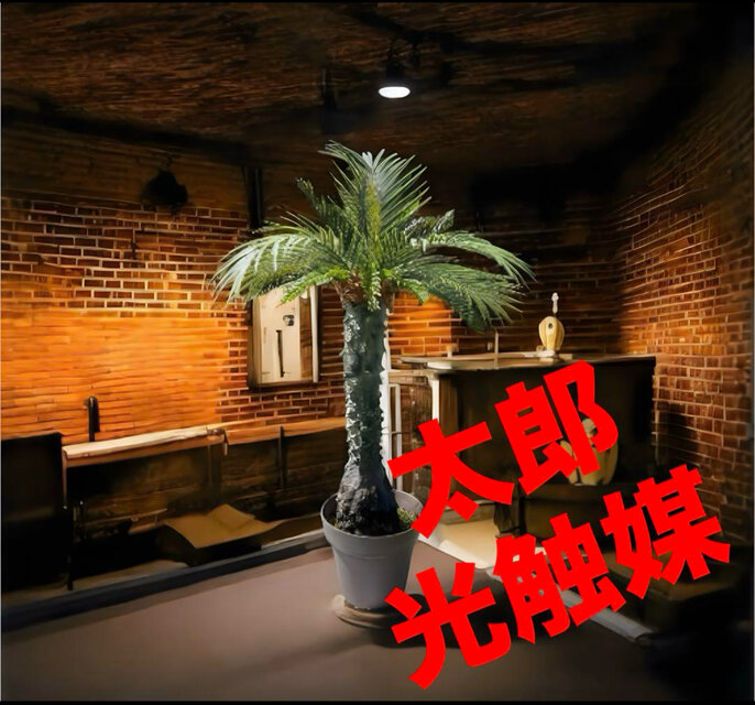 光触媒　人工観葉植物　ウォールグリーン　フェイクグリーン　フェニックス10066