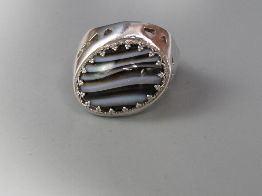 シマウマ？　No！