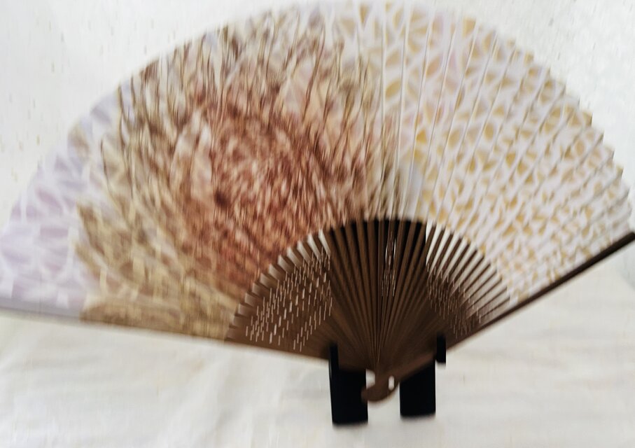 南国の花と幾何学模様