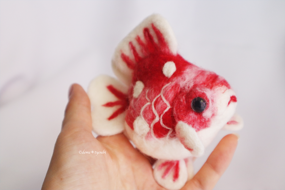 大きなショートテール桜琉金