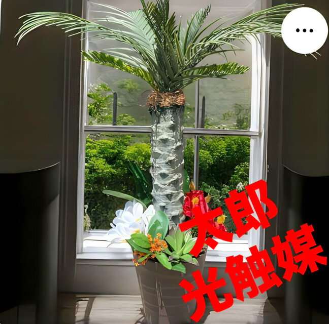 光触媒　人工観葉植物　ウォールグリーン　フェイクグリーン　リアル胡蝶蘭8755 光触媒 人工観葉植物 ウォールグリーン フェイクグリーン リアル
