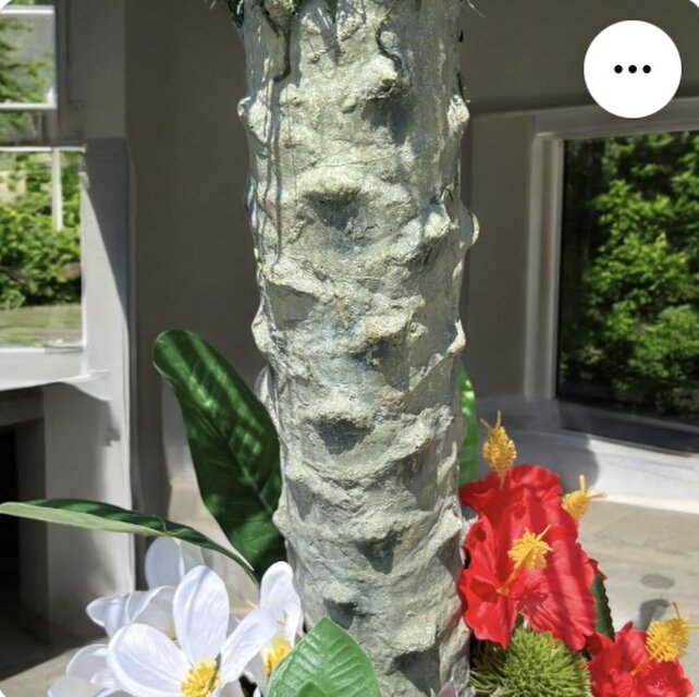 光触媒　人工観葉植物　ウォールグリーン　フェイクグリーン　リアル胡蝶蘭8755 光触媒 人工観葉植物 ウォールグリーン フェイクグリーン