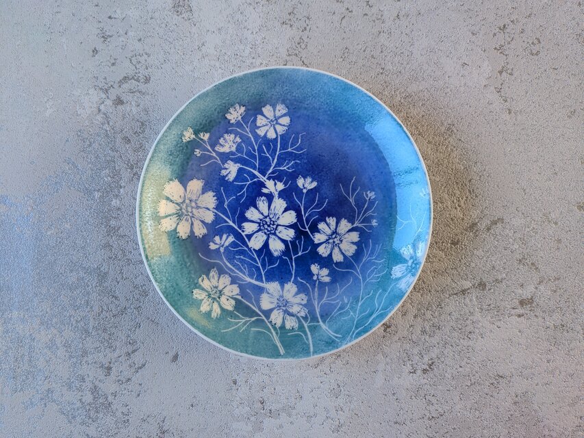 【コスモスの青い丸皿】６輪の満開のコスモス