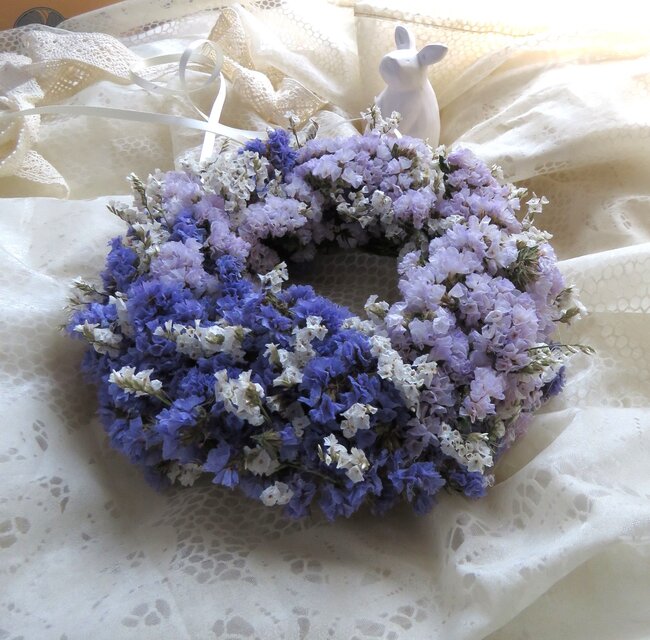 感謝SALEブルーウェーブとスターチスのリース ハイブリットスターチス