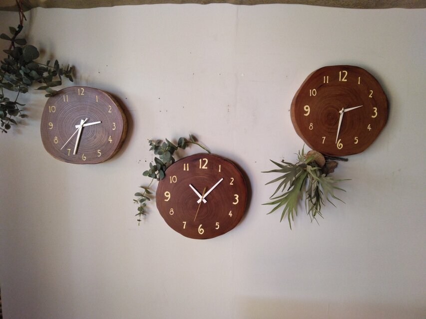 大きなクルミの輪切り時計